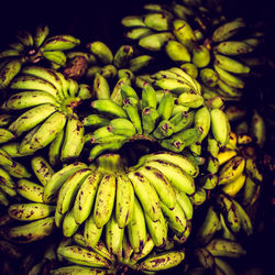 Close-up of fruit