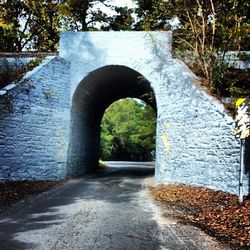 View of bridge with trees in background