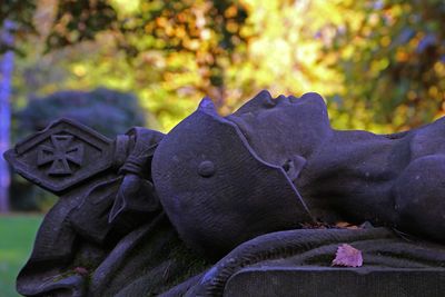 Close-up of statue against trees