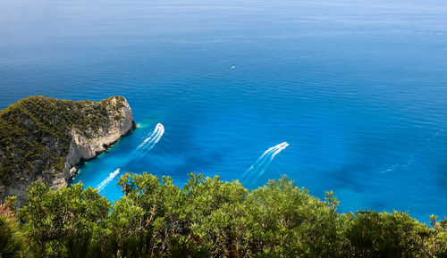 High angle view of plants by sea