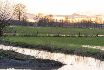 Scenic view of field against sky