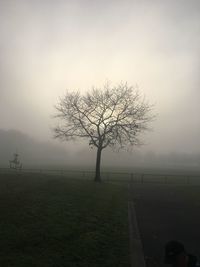 Bare tree on landscape against sky