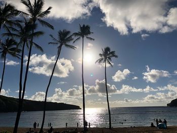 Silhouette of palm trees on beach