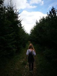 Rear view of woman walking on dirt road in forest