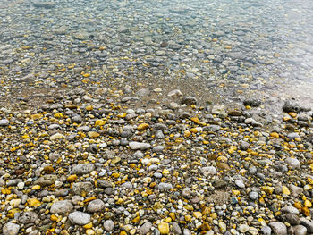 Full frame shot of pebbles on beach