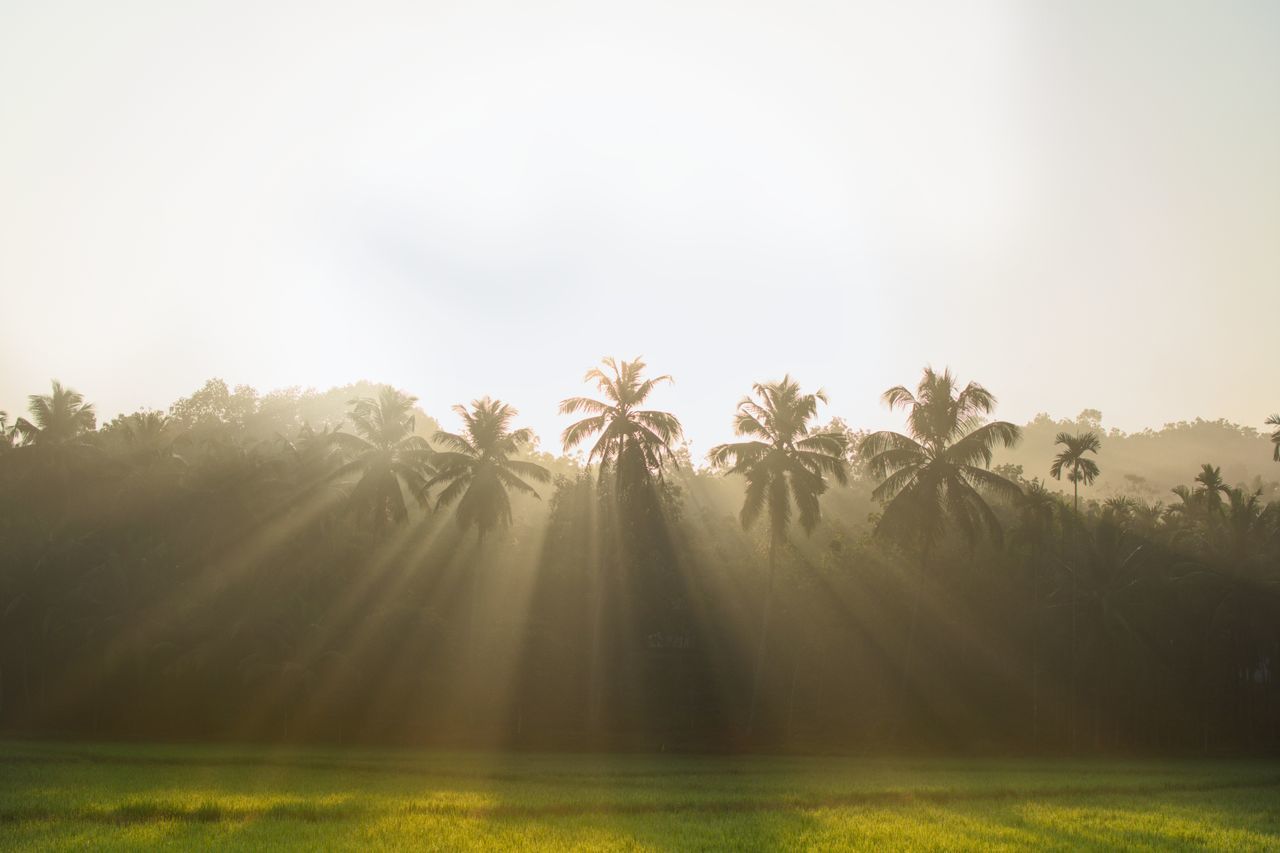 Sunrise in village