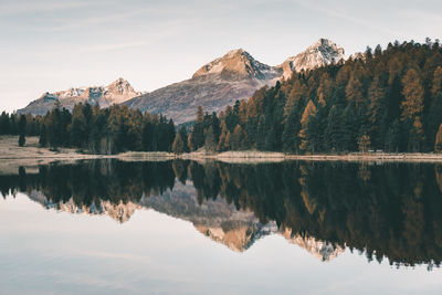 Reflection of trees in lake st. moritz