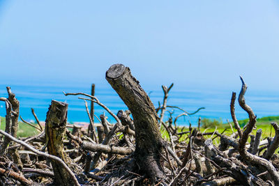 Scenic view of sea against clear blue sky