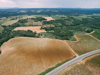 High angle view of agricultural field