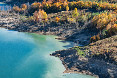 High angle view of river amidst trees in forest