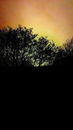 Low angle view of silhouette trees against clear sky