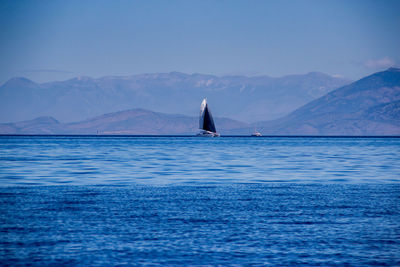 Scenic view of sea against mountain range