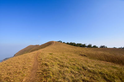 Scenic view of agricultural field against clear blue sky