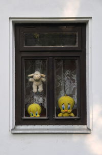 Yellow flowers on window of house