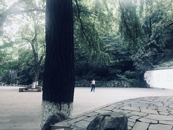 Rear view of man standing by trees in forest