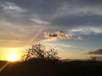 Silhouette trees on landscape against sky at sunset