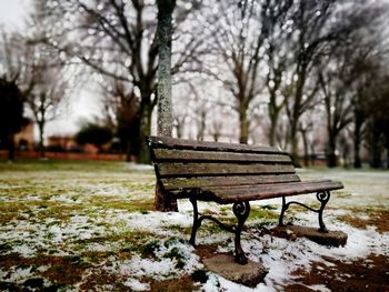 Empty bench in park during winter