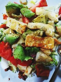 Close-up of salad in plate