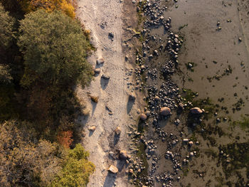 High angle view of wet sand