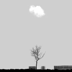 Low angle view of silhouette bare tree against clear sky