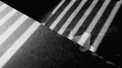 High angle view of zebra crossing on street