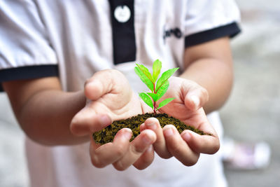 Close-up of hand holding plant