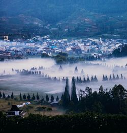 
the view of the dieng temple area when covered in fog
