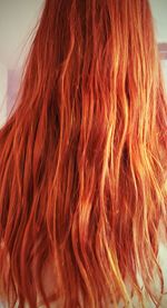 Close-up of young woman