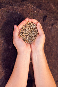 High angle view of hand holding bread