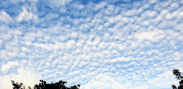 Low angle view of clouds in blue sky