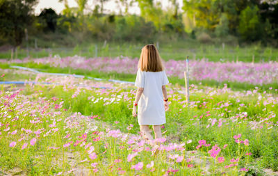 Rear view of woman standing amidst flowering plants on field