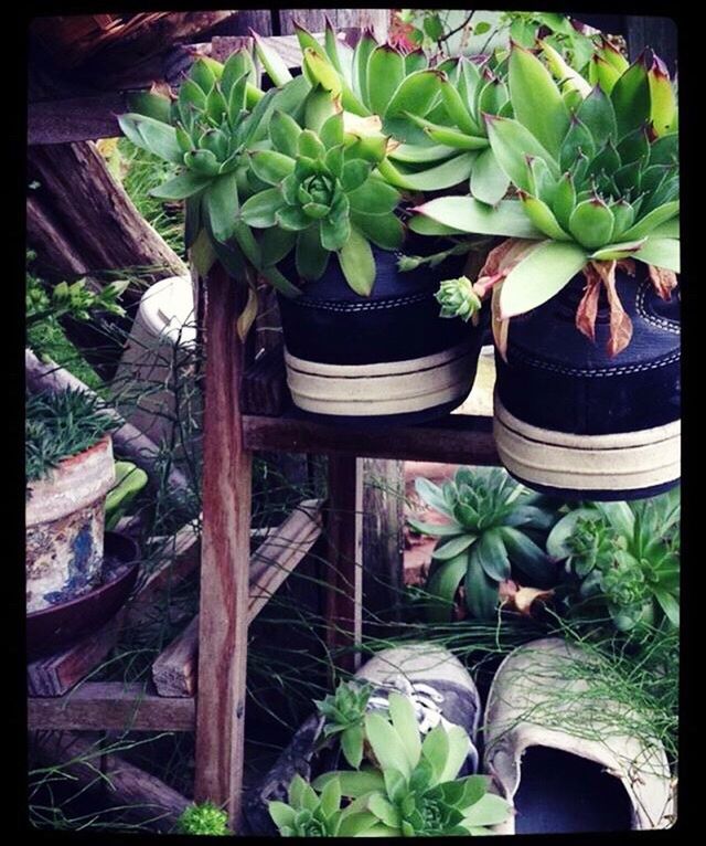 Shoe pot