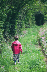 Rear view of boy walking on grassy field