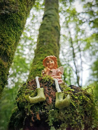 Low angle view of woman on tree trunk in forest