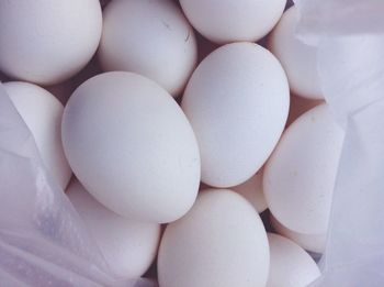 Close-up of white eggs