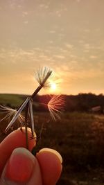 Close-up of hand holding umbrella on field against sky during sunset