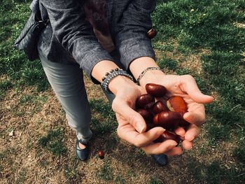 Low section of woman holding chestnuts