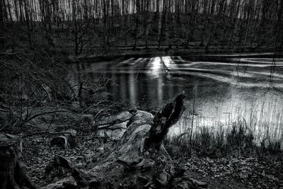 Scenic view of lake