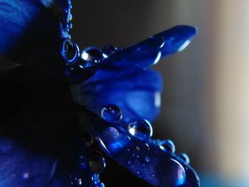 Close-up of water drop on blue surface