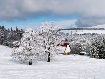 Lonely house in the mountains surrounded by forest covered in snow