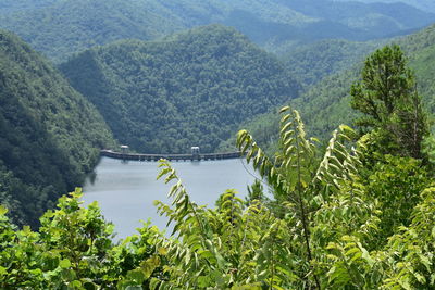 Scenic view of mountains and trees