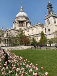 View of flowering plants by building against sky