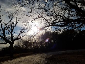 Trees against sky during sunset