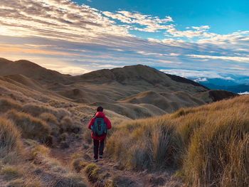 Rear view of teenage boy walking on mountain against sky