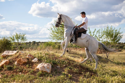 View of horse in the field