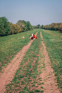 View of dog on dirt road