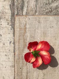 High angle view of red rose on table