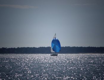 Scenic view of calm sea