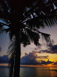 Silhouette palm tree by sea against sky at sunset