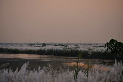Scenic view of lake against clear sky
